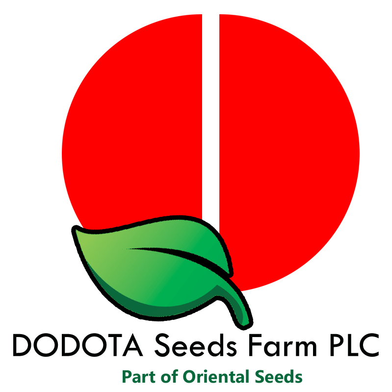 DODOTA Seeds Farm